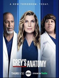 Grey's Anatomy Saison 20